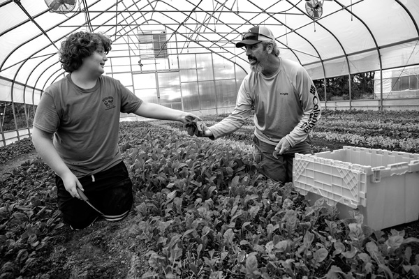 Kaleb Myers and his father, Tim Myers, gather fresh greens from their farm to supply Old Saratoga Mercantile, the family’s storefront on Route 29 just west of Schuylerville, N.Y. Joan K. Lentini photo