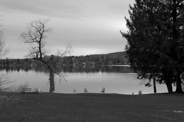 Wide lawns along the shore of Richmond Pond have become a popular summer gathering spot for Canada geese. Some local landowners have come up with a plan to reduce the numbers of geese they say have become a nuisance, but others who live near the pond say the plan goes too far. John Townes photo