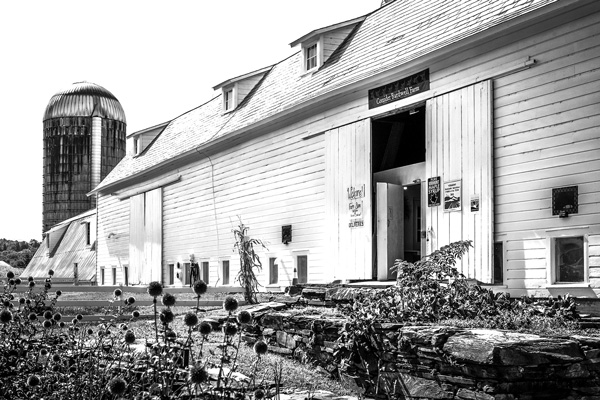 The self-service farm store in the barn at Consider Bardwell Farm is open again now that the farm’s cheese production has resumed. The farm suspended operation in 2019 after a contamination scare. Joan K. Lentini photo