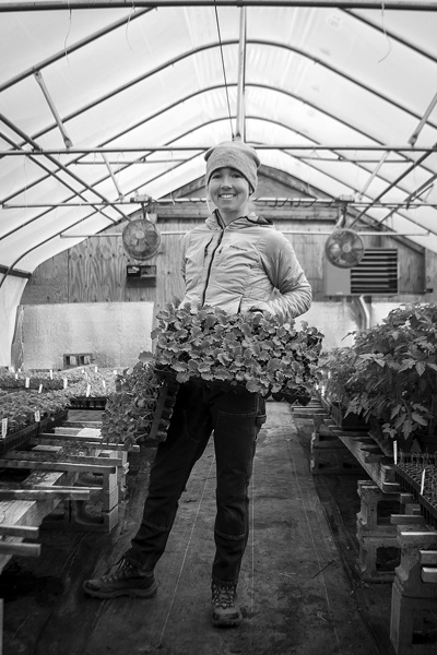 Lisa MacDougall holds two flats of kale inside one of her many greenhouses at Mighty Food Farm in Shaftsbury, Vt. photo by Joan K. Lentini