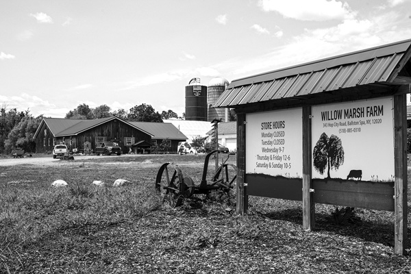 Willow Marsh Farm in Ballston, N.Y., had been a conventional dairy operation until a new generation of family owners began making cheese and Greek yogurt and shifted to retail sales of raw milk. Joan K. Lentini photo Willow Marsh Farm in Ballston, N.Y., had been a conventional dairy operation until a new generation of family owners began making cheese and Greek yogurt and shifted to retail sales of raw milk. Joan K. Lentini photo